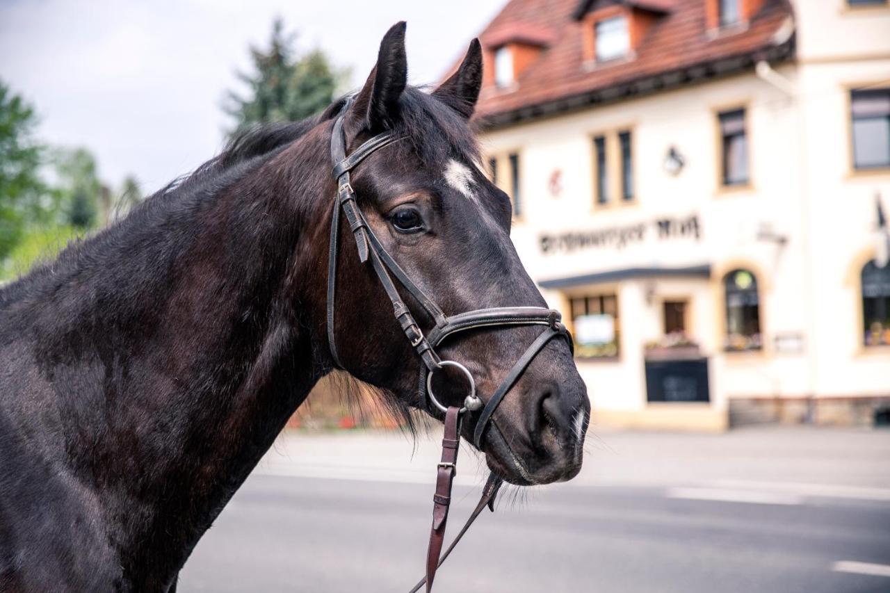 Schwarzes Ross Hotel Arnsdorf  Bagian luar foto